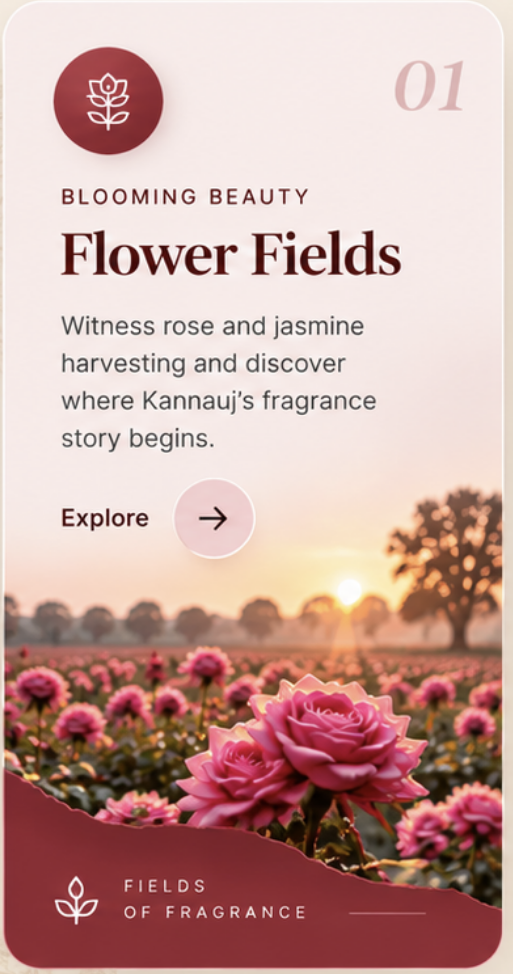 Kannauj fragrance trail experience